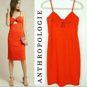 Anthropologie Hutch Knotted Tropical Dress